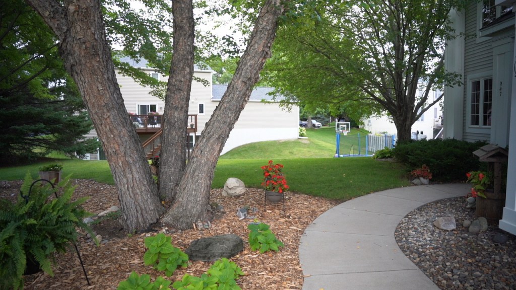 Curved sidewalk passing trees and bushes surrounded by mulch that leads to EnviRx Pest Solutions customer door.