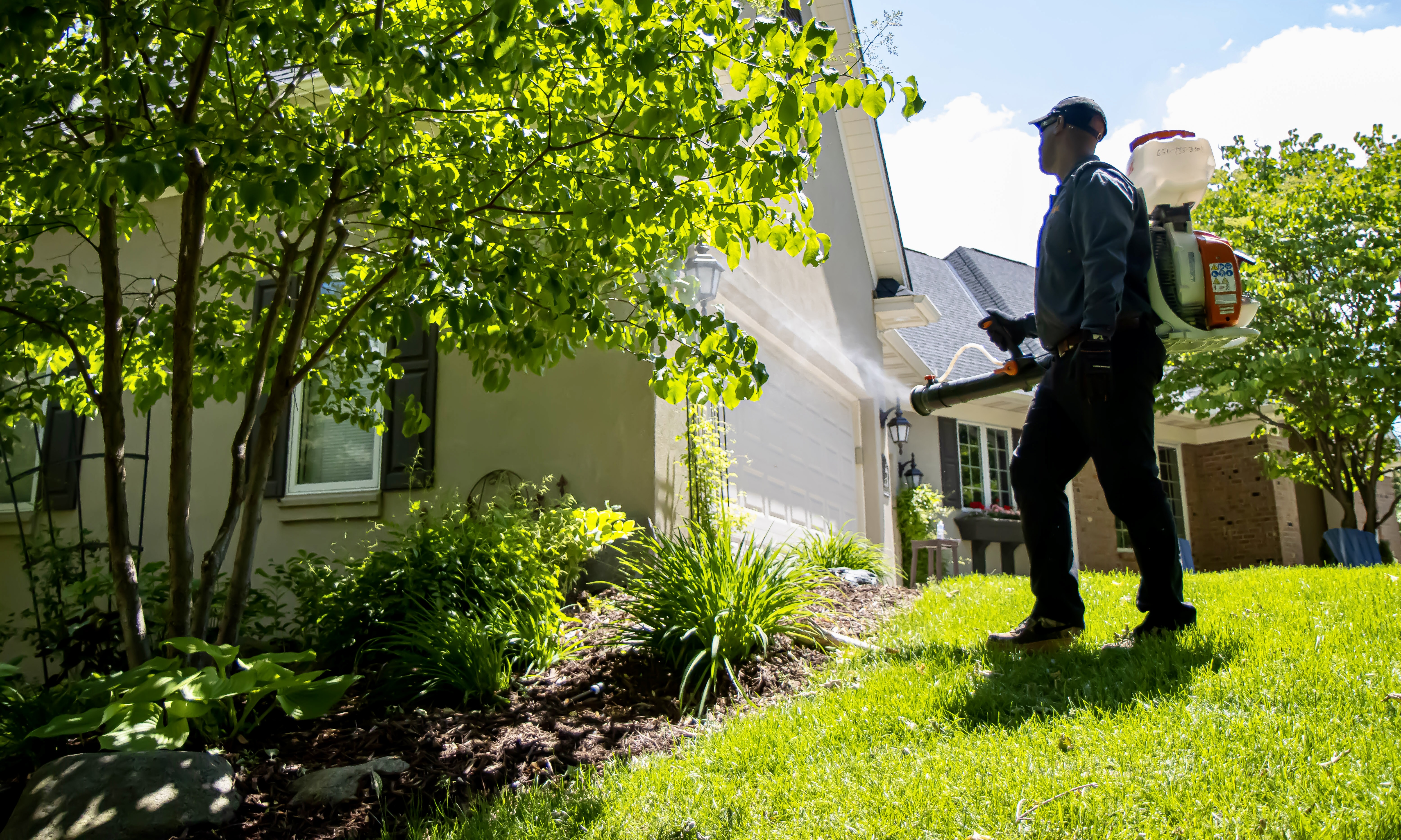 A mosquito abatement specialist applies a mosquito control fog to the underside of tree leaves next to a home with a mosquito blower. 